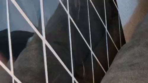 Download: Snowbloood95 - Sex auf der Couch - User Fick