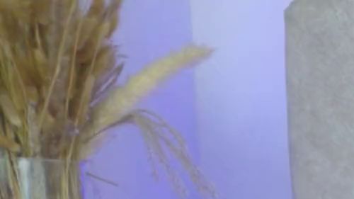 Download: SophiaStorm1 - Lasst uns etwas Spaß mit meinen Füßen haben