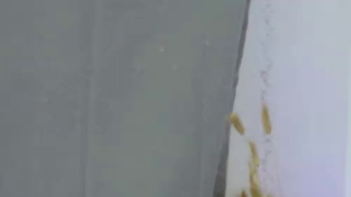 Download: SophiaStorm1 - lass uns spielen