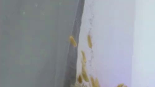 Download: SophiaStorm1 - Komm für mehr