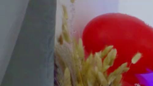 Download: SophiaStorm1 - sexy Fußspiel