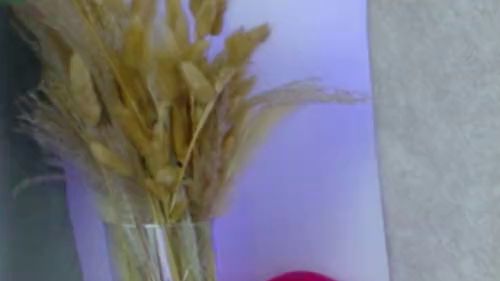 Download: SophiaStorm1 - ein süßes und zartes Mädchen