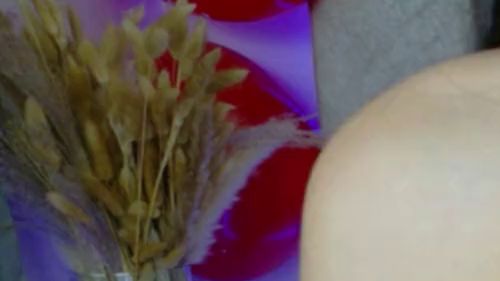 Download: SophiaStorm1 - Ich habe, was du dir wünschst.