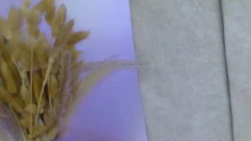 Download: SophiaStorm1 - Reichhaltiger Blowjob