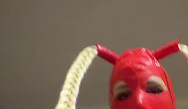 Download: SophieFoxx666 - Erst hab ich mir schön die Titten eingeölt und danach seinen Schwanz geritten