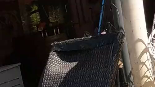 Download: Sperma-Fick-Queen - von hinten Creamie