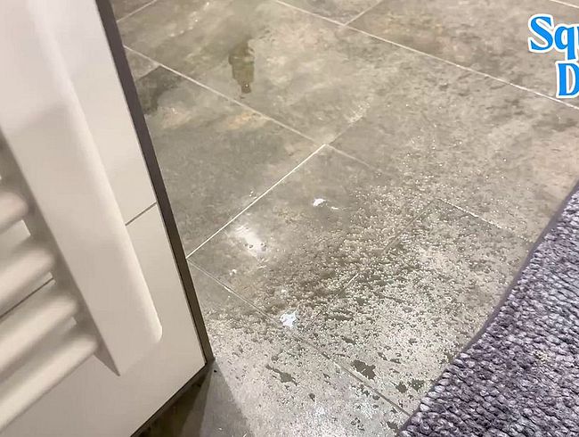 Download: Squirtydirty - Heimlich dabei gefilmt wie ich in die Dusche pinkel