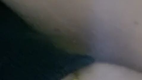 Download: Steffi844 - Wunschvideo:)