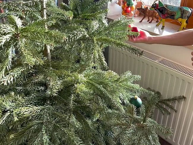 Download: Steffi_Sommerbach - Weihnachtsbaum entsorgen mal anders-Ja,Nackig grins