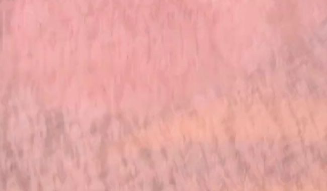 Download: Stella-Ella - In die Jeans gepisst ?