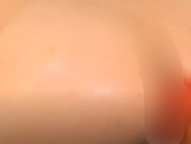 Download: Stepphanyy - HOT COLORS