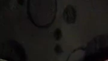 Download: Stepphanyy - Ich hoffe, dir gefällt mein neues Tattoo, ich zeige es dir.