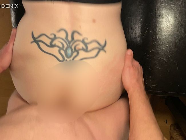 Download: StevePhoenix - Doggy gefickt und Sperma geschluckt, POV Perspektive