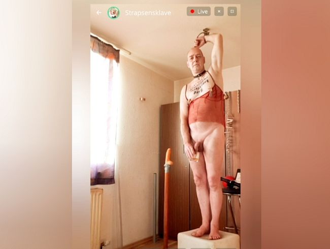 Download: Strapsensklave - LIVE-Auschnitt vom 11. 11. 2025 neue Videos