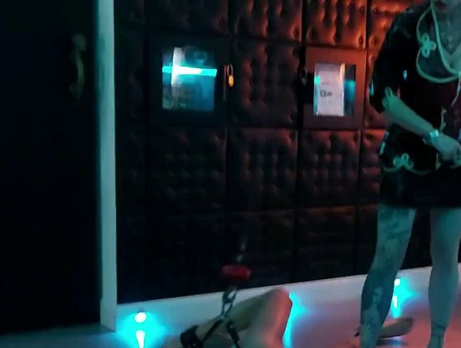 Download: Strict_Senz - Miss Alessa Milano Hard Whipping after Hanging