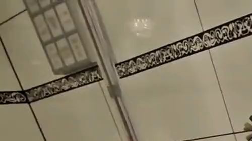 Download: Strict_Senz - Sheela Sinner The Toilet Humiliation Part 1 MDH