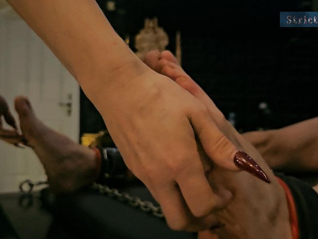 Download: Strict_Senz - Sheela Sinner Long Nails Oiled Body Tickling Bondage on the Rack part 1