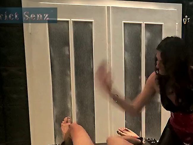 Download: Strict_Senz - LadyZara Harsh Handjob CBT with Kali Spikes Ball Slapping Facesitting Assworship on the Rack Part 1