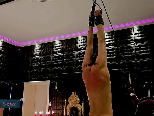 Download: Strict_Senz - Hard Femdom Mercyless Singletail Whipping Hanging Bondage