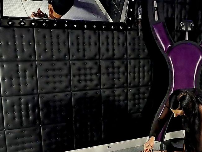 Download: Strict_Senz - Hard Bullbusting?Hard Kicking CBT by?German Femdom