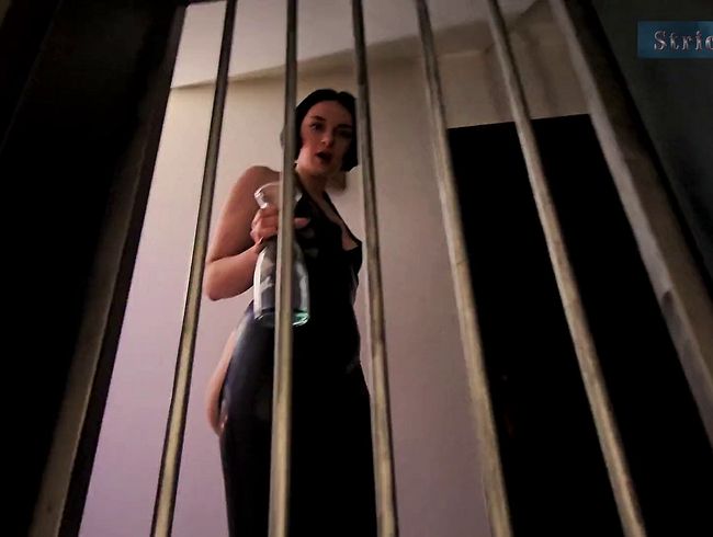 Download: Strict_Senz - Lady Medea Pee for my Caged Toilet Slave POV