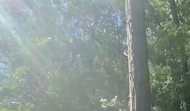 Download: Sue_Nova - Piss-Handstand-Fontäne