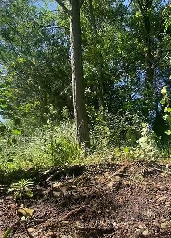 Download: Sue_Nova - Piss-Handstand-Fontäne