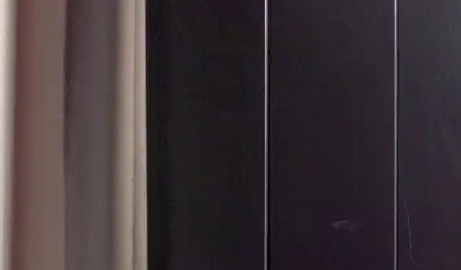 Download: Suka-Kiska - What the Fuck… Was war das denn bitte?