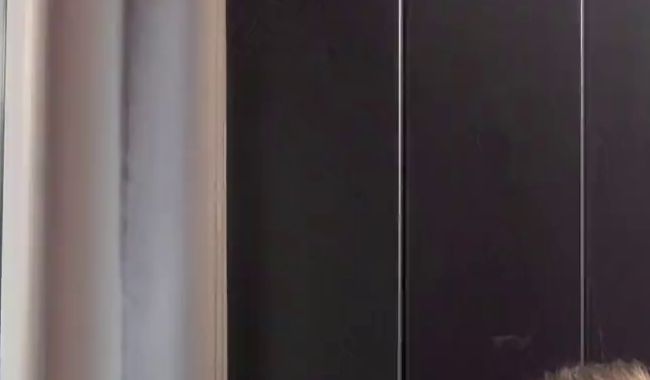 Download: Suka-Kiska - Latex im Test… Bin ich eine Latexschlampe? (Part 1)