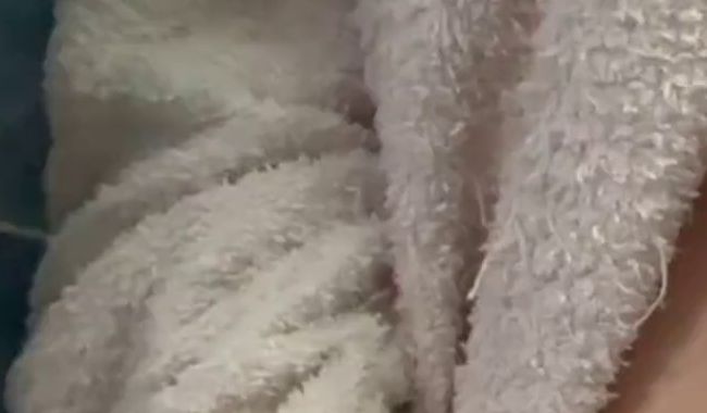 Download: SunnyHollow - Frisch aus der Dusche