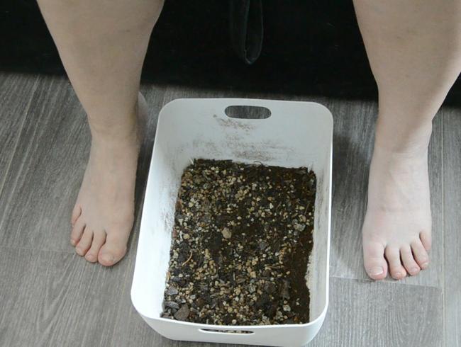 Download: Sweet-Lara666 - Füße mit Erde