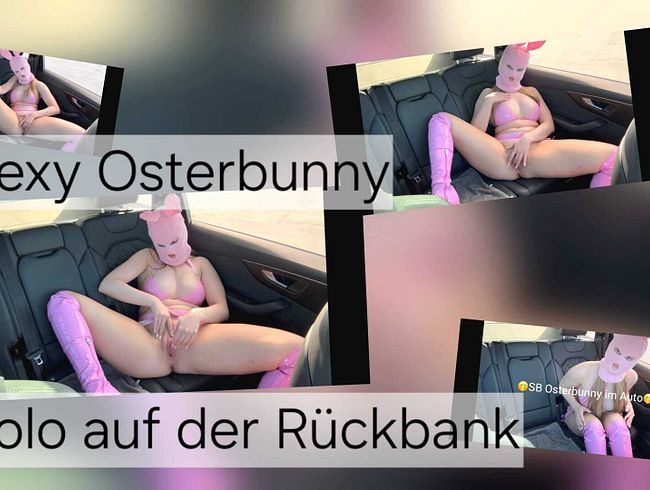 Download: SweetSoul24 - Sexy Osterbunny ! SB im Auto zu Ostern ! Verdammt heiß !!