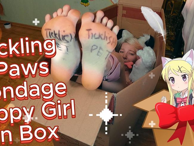Download: Sweet_Sansarella - Bondage PuppyGirl in der Box und kitzelt ihre Pfoten