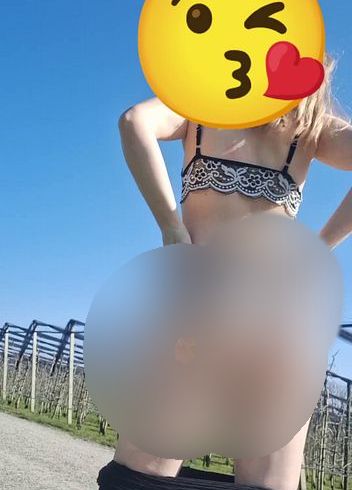 Download: Swissapple - Outdoor strip