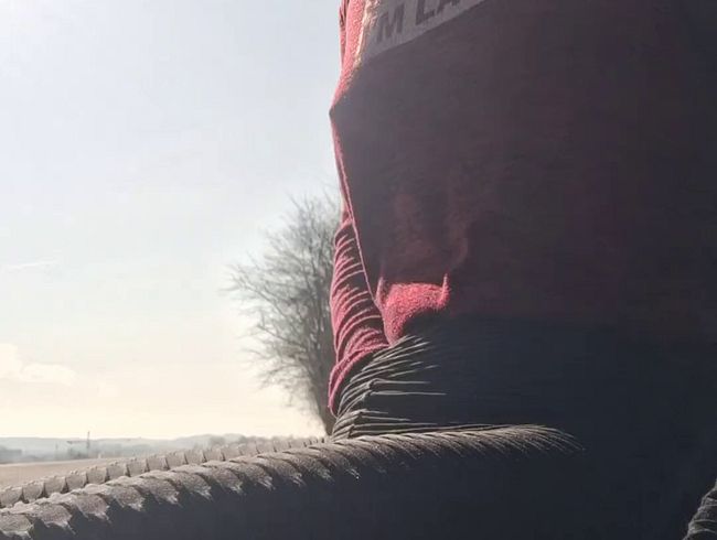 Download: Swissapple - Dildo play outdoor an der Strasse