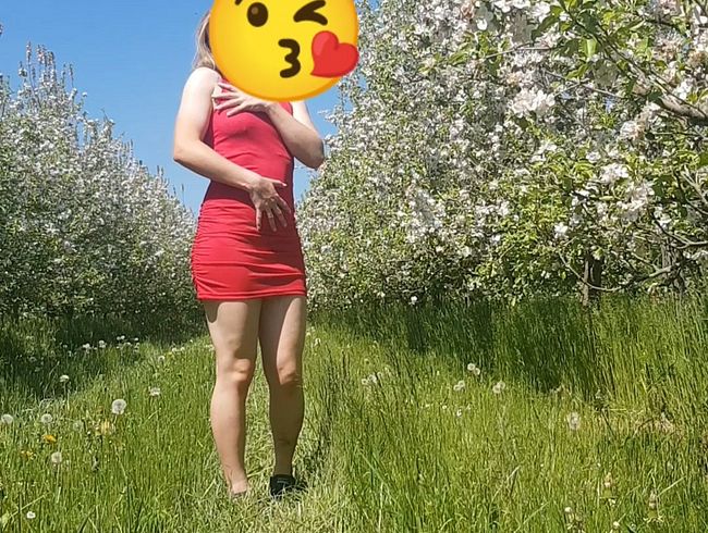 Download: Swissapple - Frühlings erwachen