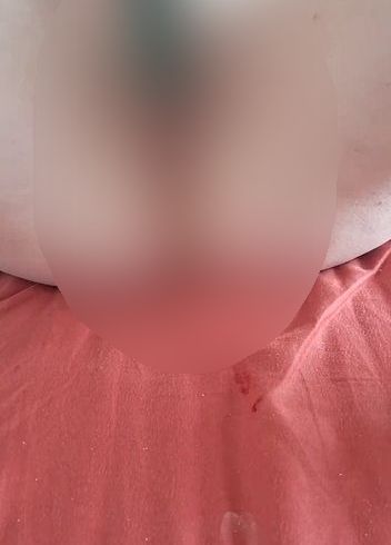 Download: Swissapple - Gurke durch den Entsafter schieben