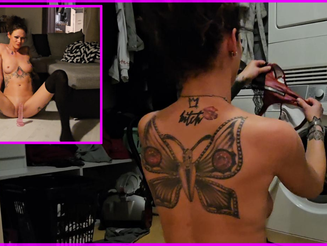 Download: Sydney_Schmid - Neues Spielzeug nach dem Training ausprobiert