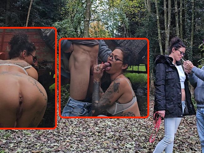 Download: Sydney_Schmid - Beim Gassigehen überrascht! Abgewichst und Blank gefickt!