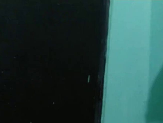 Download: TRINY_TS - Der Wachmann hat mich hart und tief gefickt