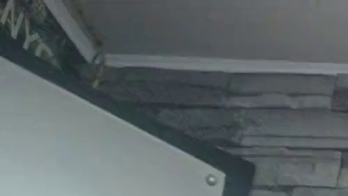 Download: TRINY_TS - Sperma fliegt in deinen Mund, um es zu schlucken.