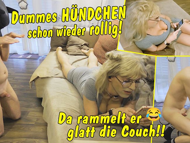 Download: TV_Helena_Kimberly - Dummes Hündchen ist schon wieder total rollig. Da rammelt der Köter doch glatt die Couch!