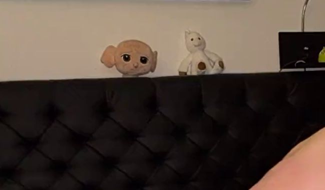 Download: TamaRubens - Heute hatte ich mal wieder Lust...