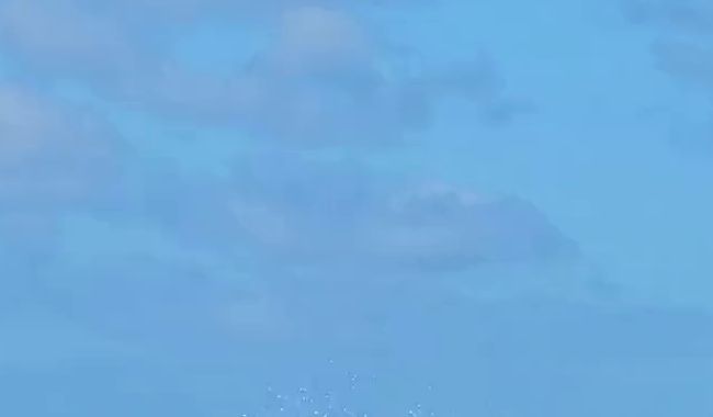 Download: TamaRubens - Spaß am Wasser...