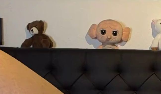 Download: TamaRubens - Leicht gepumpte Fotze....