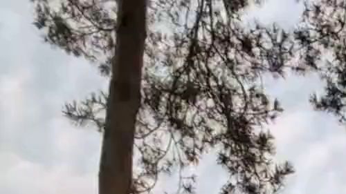 Download: TamaRubens - Nackt an der Autobahn...