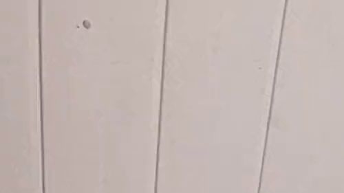 Download: TamaRubens - Facesitting mit User im Hotel....