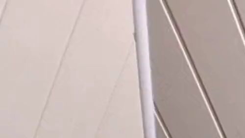 Download: TamaRubens - Facesitting die zweite..