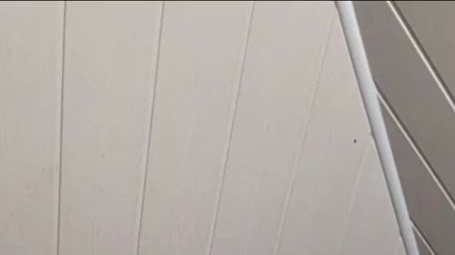 Download: TamaRubens - Usertreff im Hotel , geil gefistet worden