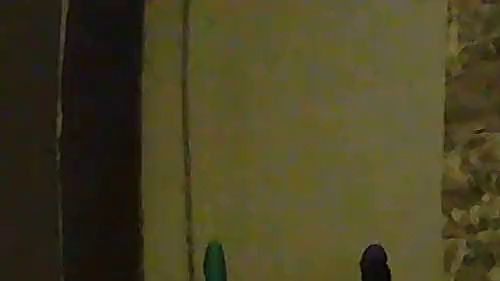 Download: Teen-Ida - 30 cm in meiner klein engen teeny pussy versenkt part 3.1